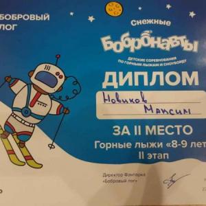 Спортивные достижения лицеистов