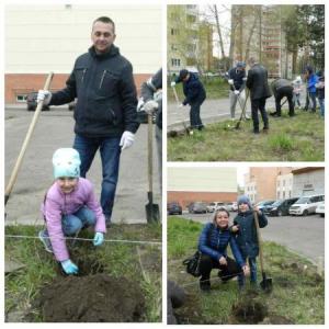 Всероссийский день посадки леса